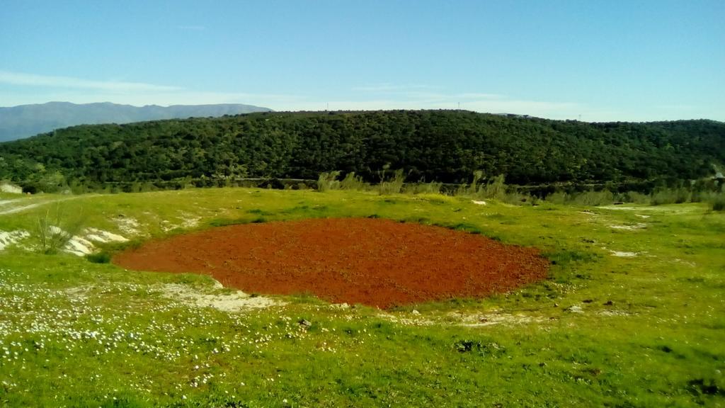 Guijo de Granadilla Apartamento O Casa Rural Roquemar מראה חיצוני תמונה